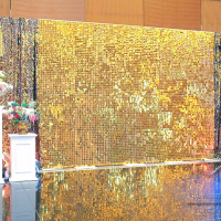 Стена "Золотые движущиеся пайетки с цветами"