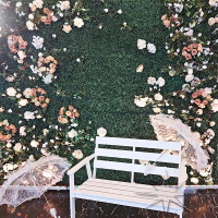 Фотозона "Самшит с цветами и кружевным зонтиком"