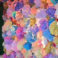 Фотозона / Стена "Королевство цветов"