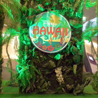 Фотозона "Гаваи Пати" с вертикальными зеркалами