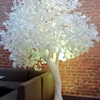 Сказочное белое дерево с веточками Гинкго
